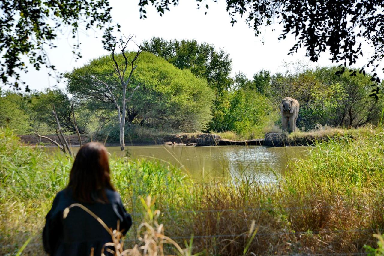 Black Rhino Game Lodge Pilanesberg Exterior foto